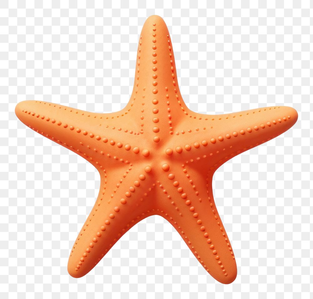 PNG Starfish sea white background invertebrate. AI generated Image by rawpixel.