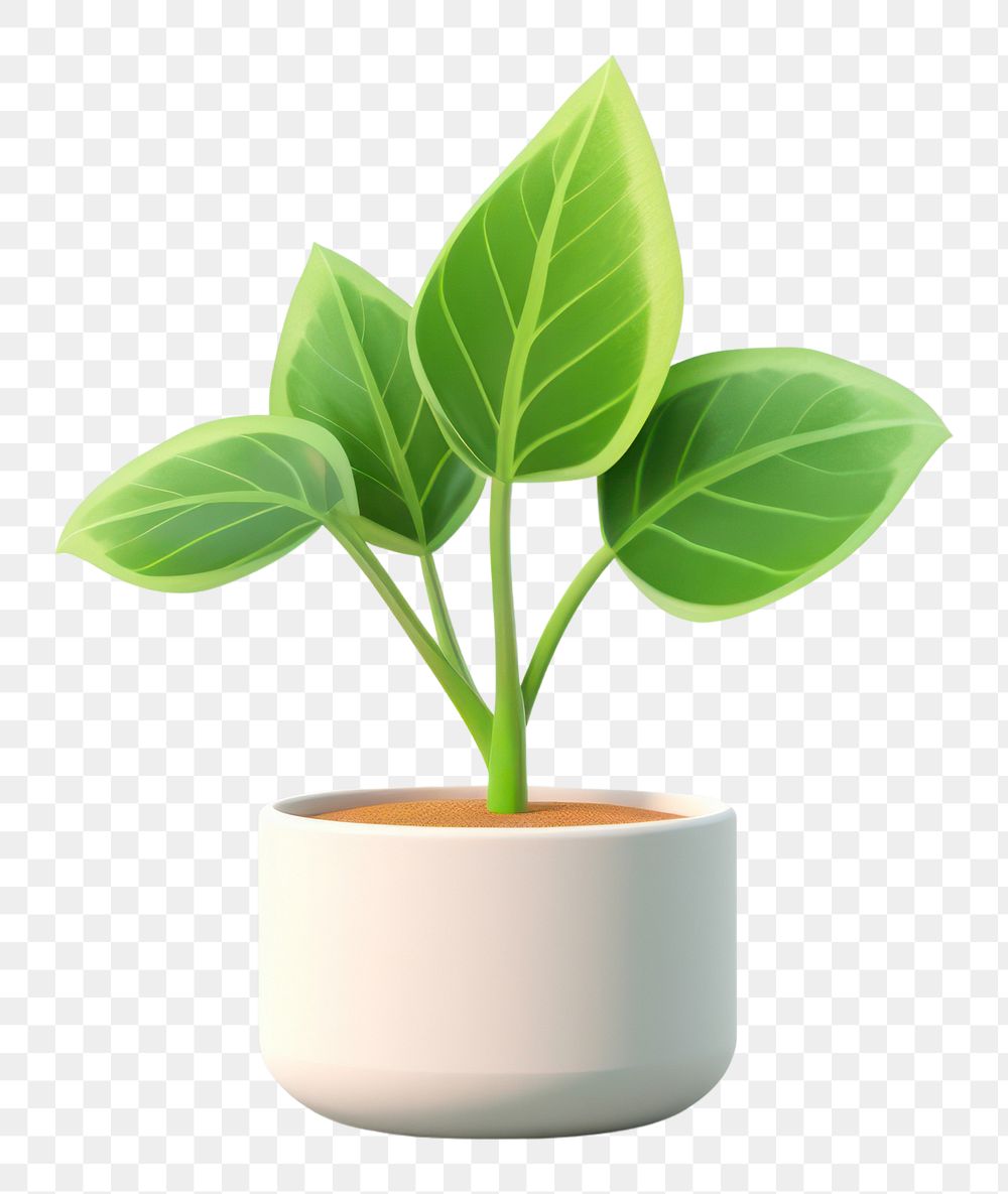 PNG Indoor mini plant leaf houseplant freshness. AI generated Image by rawpixel.