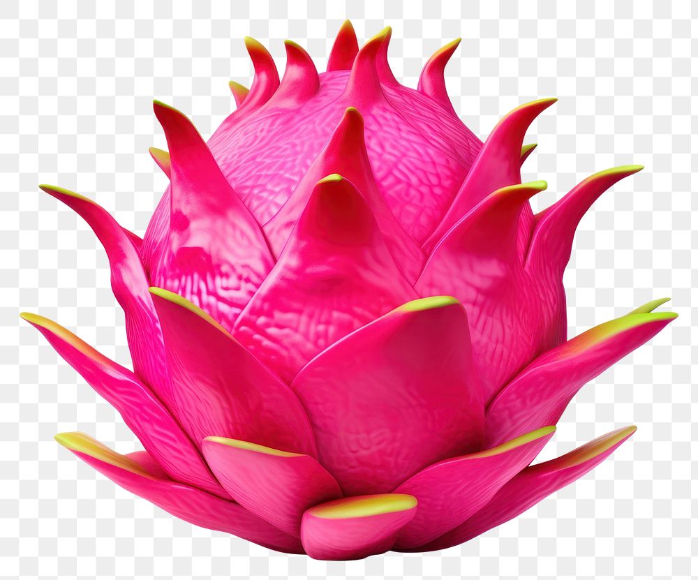 PNG  Dragon fruit flower petal plant. AI generated Image by rawpixel.