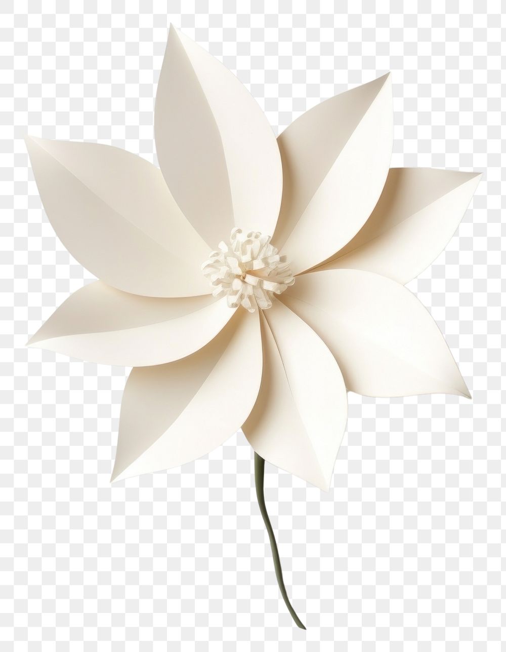 PNG One flower plant white paper. AI generated Image by rawpixel.