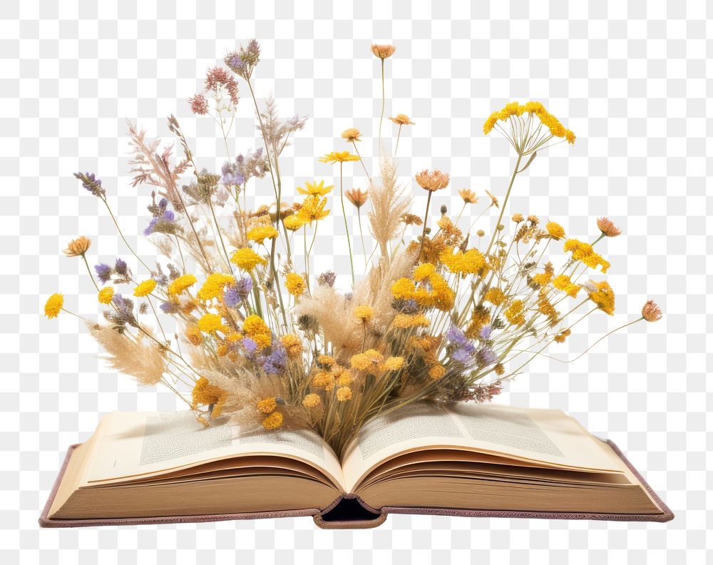 PNG Flower book publication plant