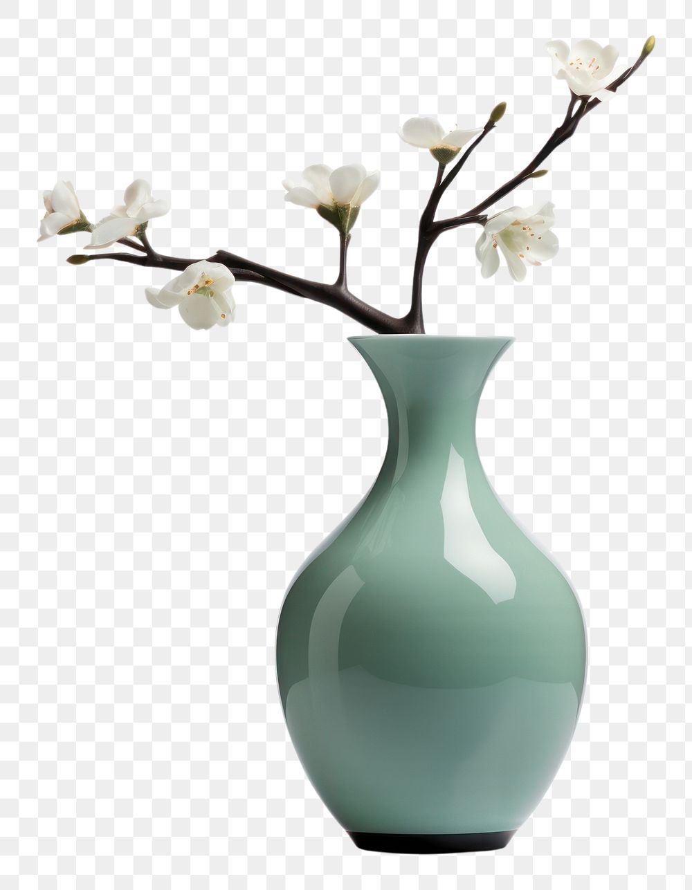 PNG  Modern vase Tall style flower plant decoration. AI generated Image by rawpixel.