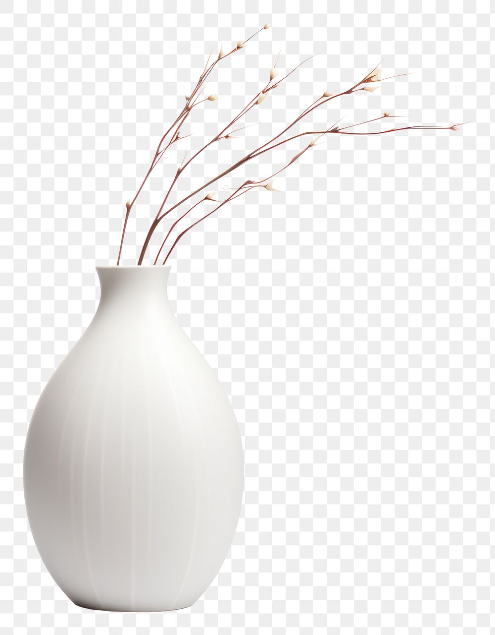 PNG  Modern vase Tall style white plant . AI generated Image by rawpixel.