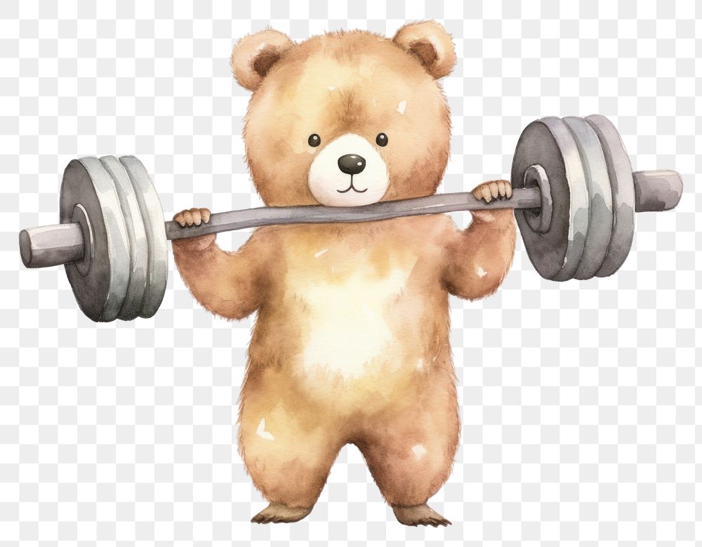 PNG Cute bear fitness sports mammal toy. AI generated Image by rawpixel.