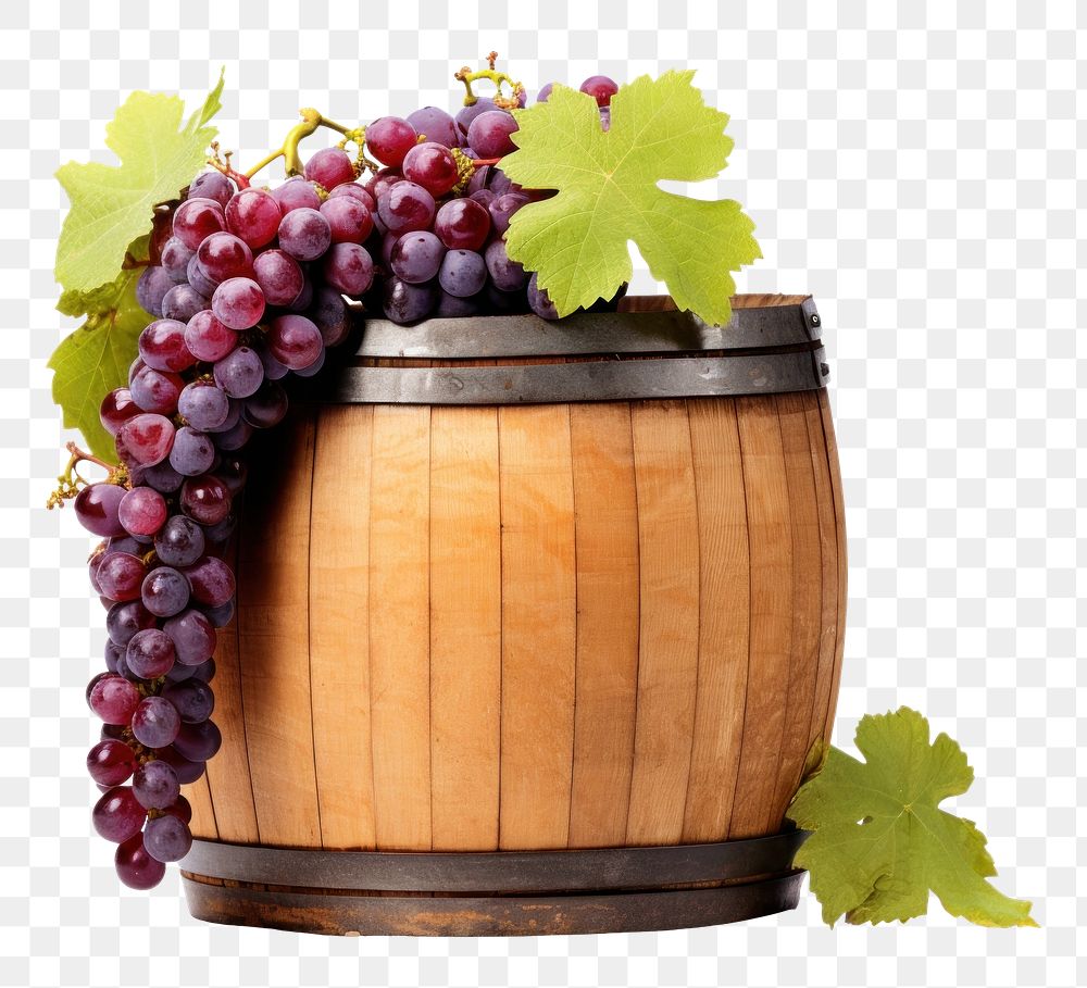 PNG  Wine barrel grape grapes fruit plant. AI generated Image by rawpixel.