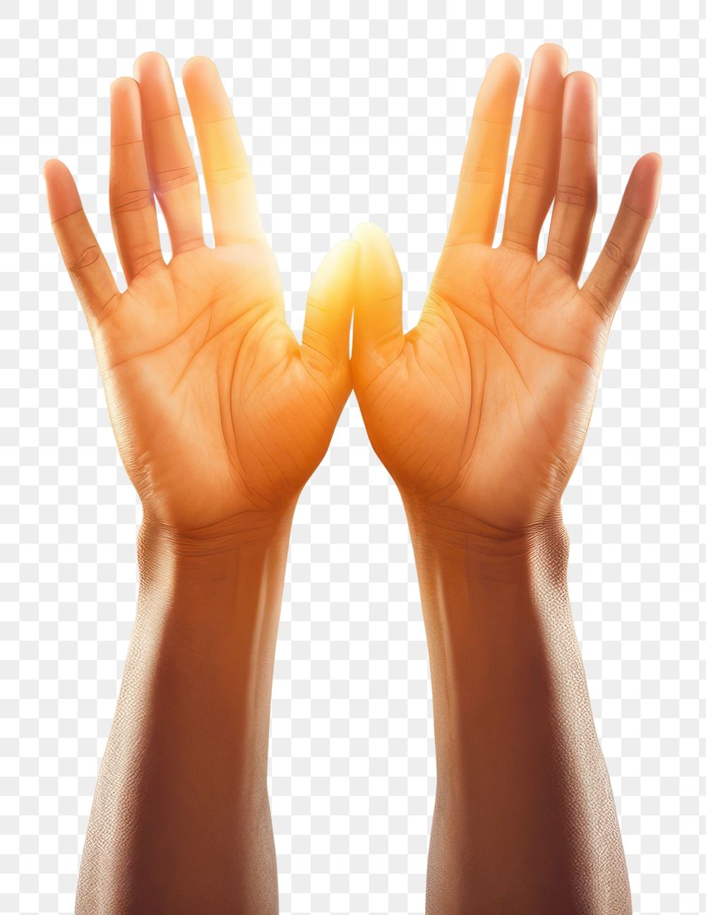 PNG Hand sunlight finger adult