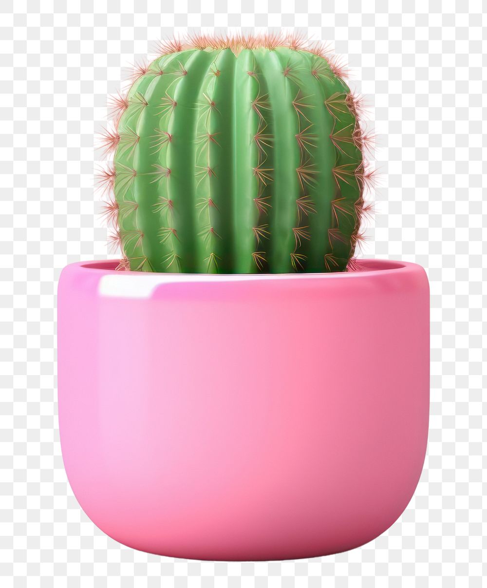 PNG Cactus plant houseplant flowerpot. AI generated Image by rawpixel.