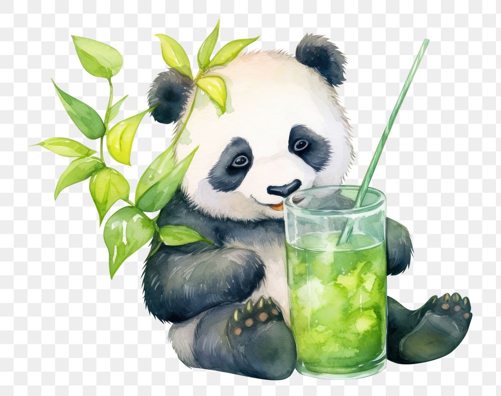 PNG Cute panda grap drinking water mammal bear refreshment. AI generated Image by rawpixel.