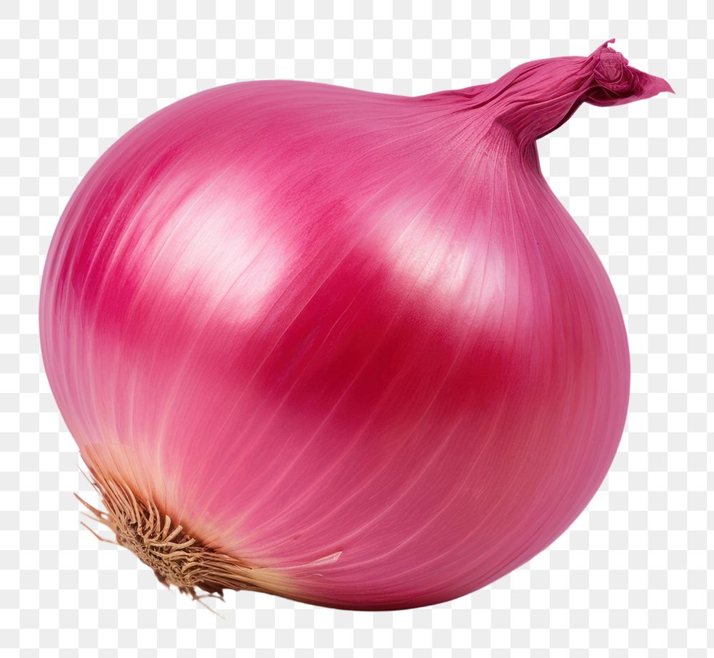 PNG  Onion onion vegetable shallot