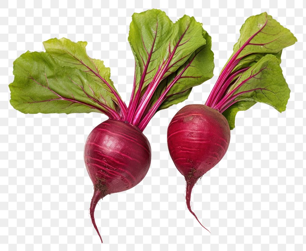 PNG  Beet root vegetable radish plant. AI generated Image by rawpixel.