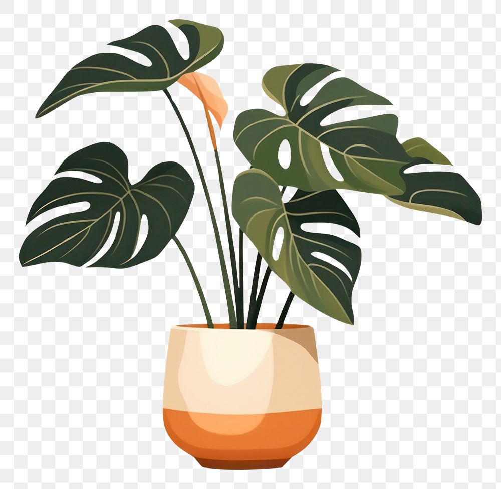 PNG Alocasia longiloba pottery plant vase. AI generated Image by rawpixel.