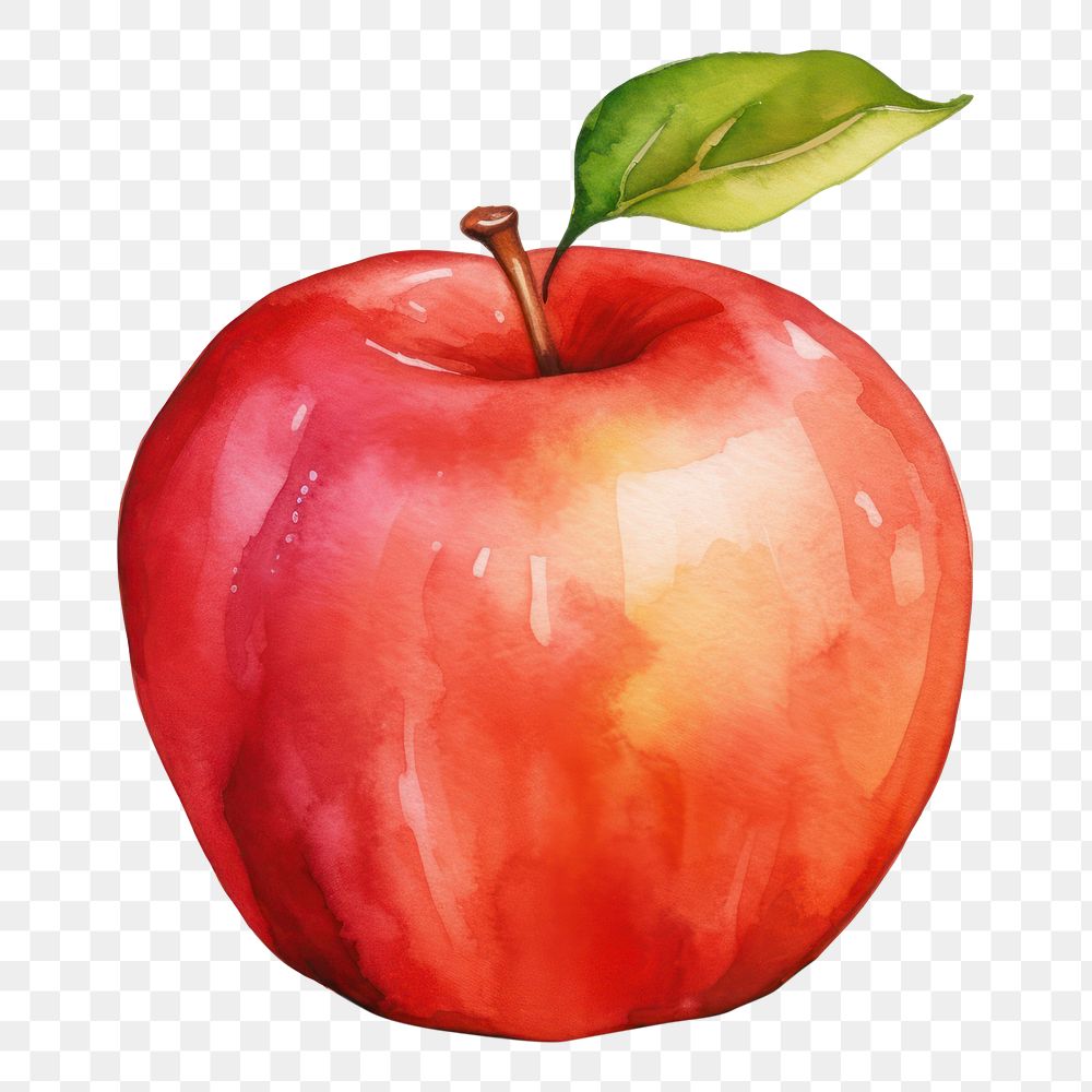 PNG Red apple fruit plant food. AI generated Image by rawpixel.