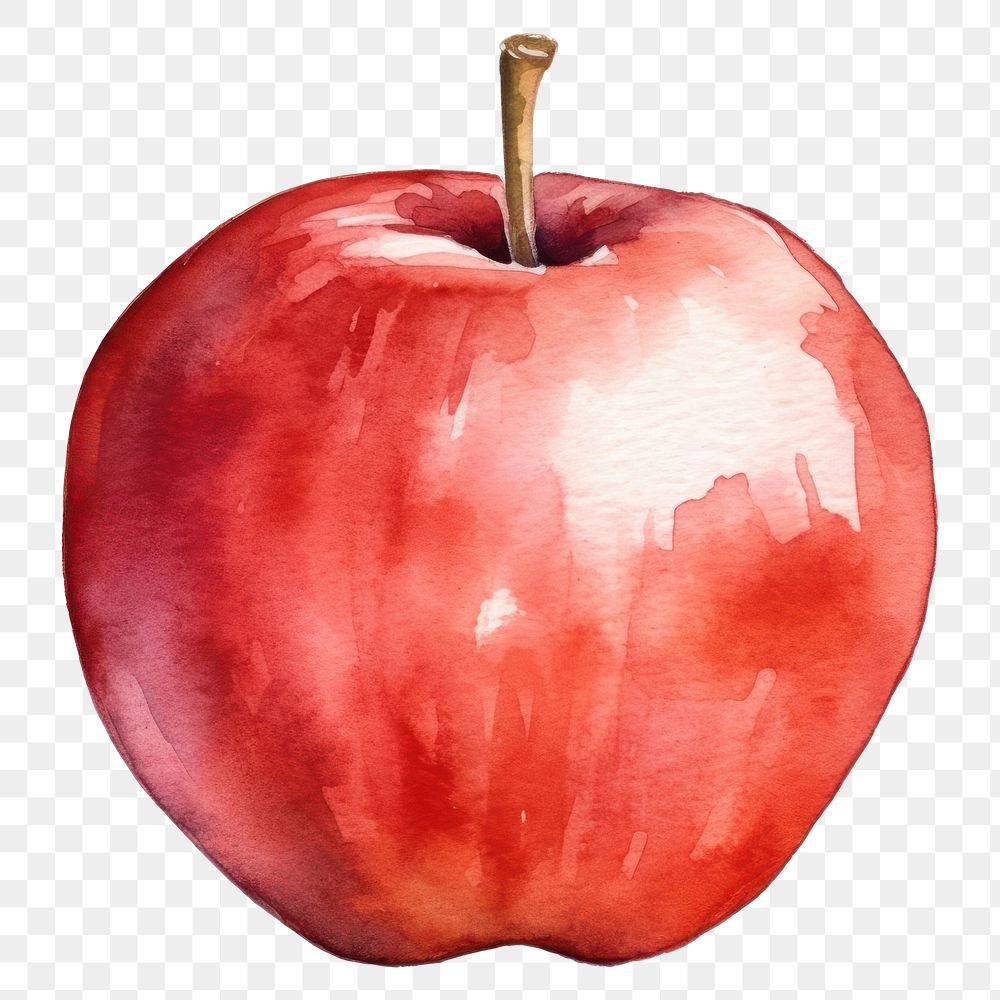 PNG Red apple fruit plant food.