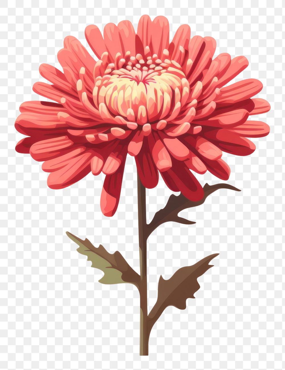 PNG Chrysanthemum chrysanths flower dahlia. AI generated Image by rawpixel.