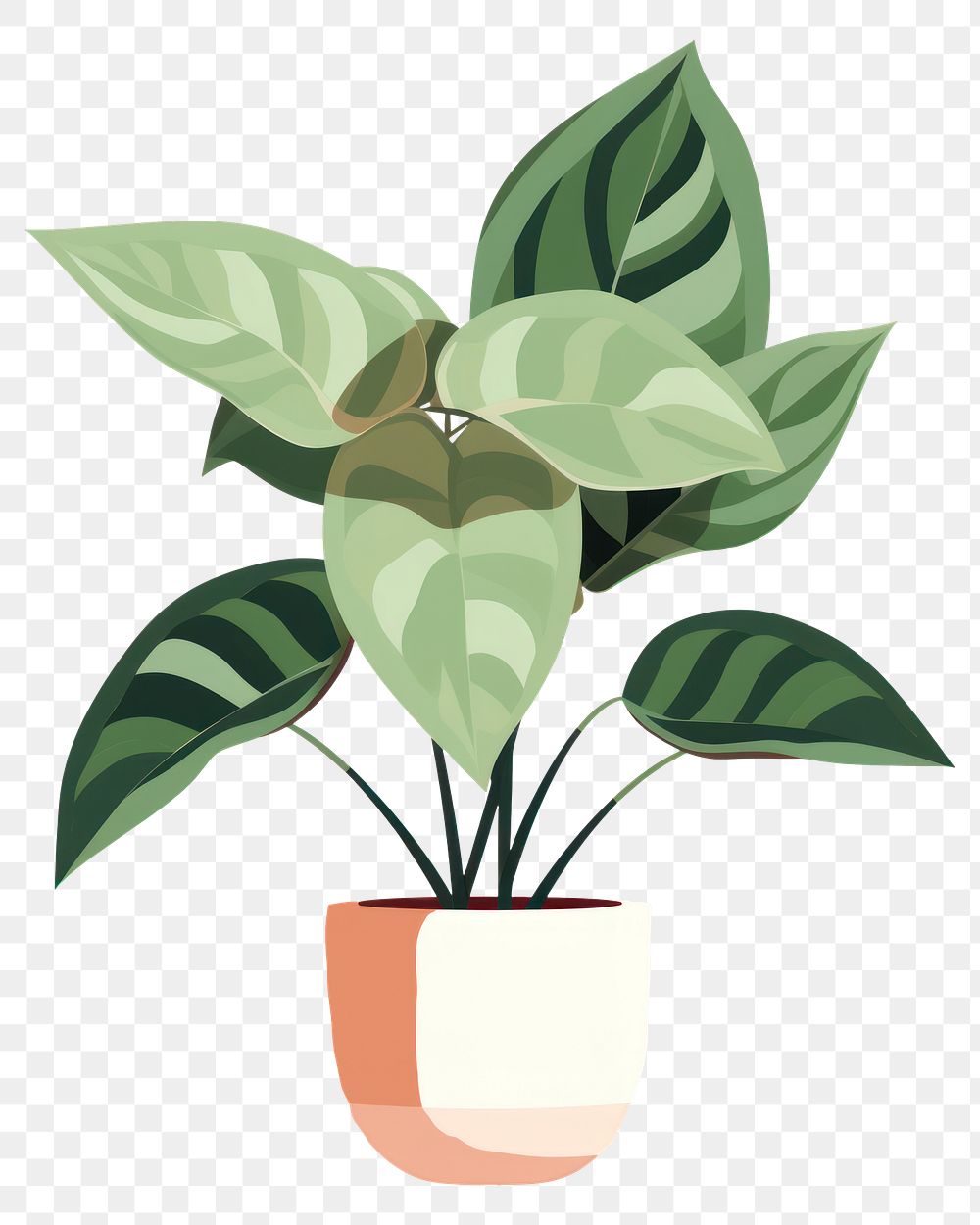 PNG Houseplant houseplant leaf floristry. AI generated Image by rawpixel.