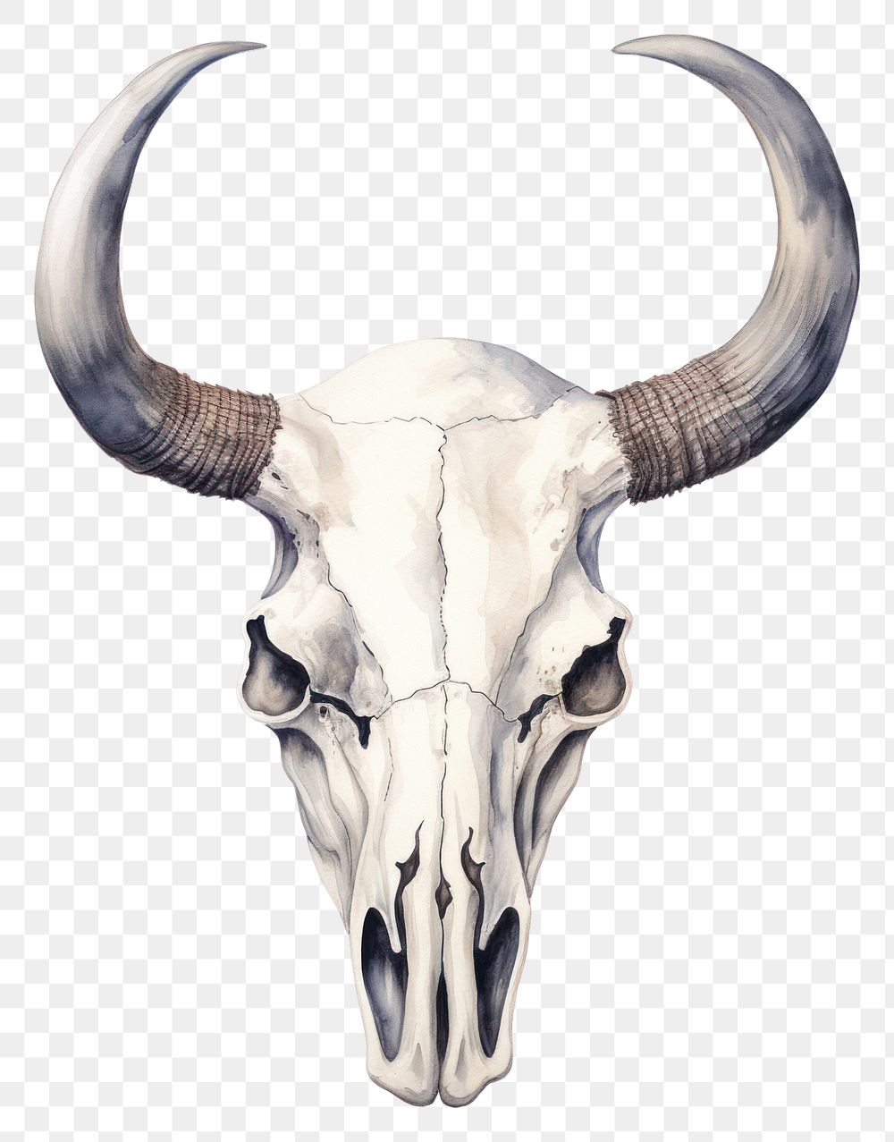 PNG Animal mammal cattle bull. AI generated Image by rawpixel.