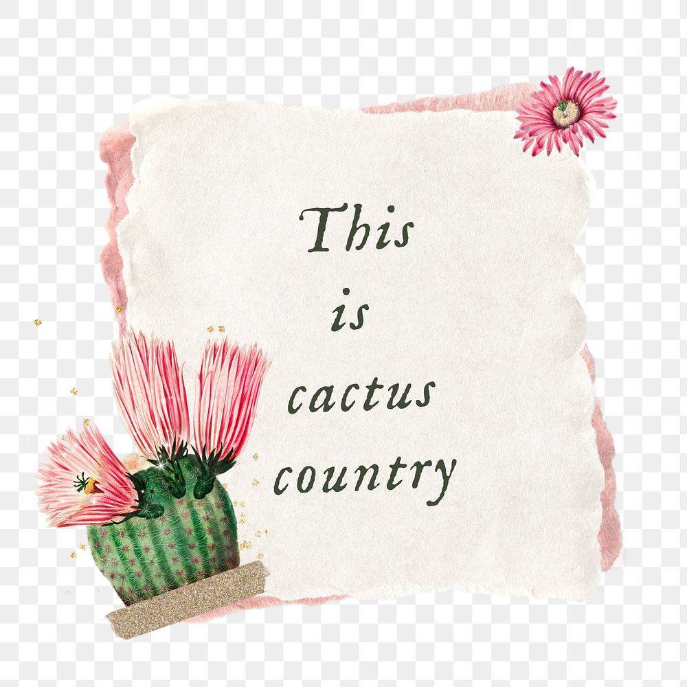 PNG Cactus country, botanical  paper craft remix, transparent background