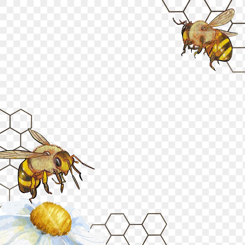 Bees and flower border png, transparent background