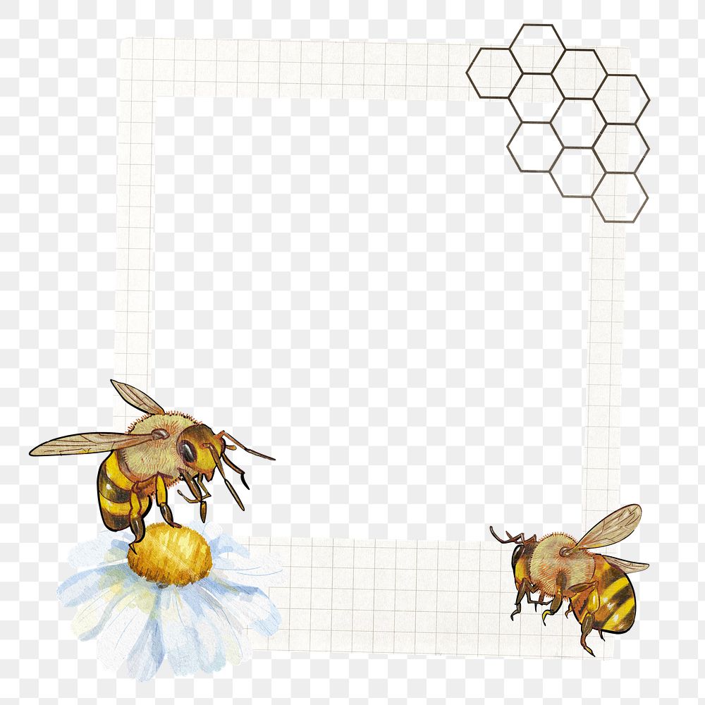 PNG Bees and flower instant film frame, creative remix, transparent background