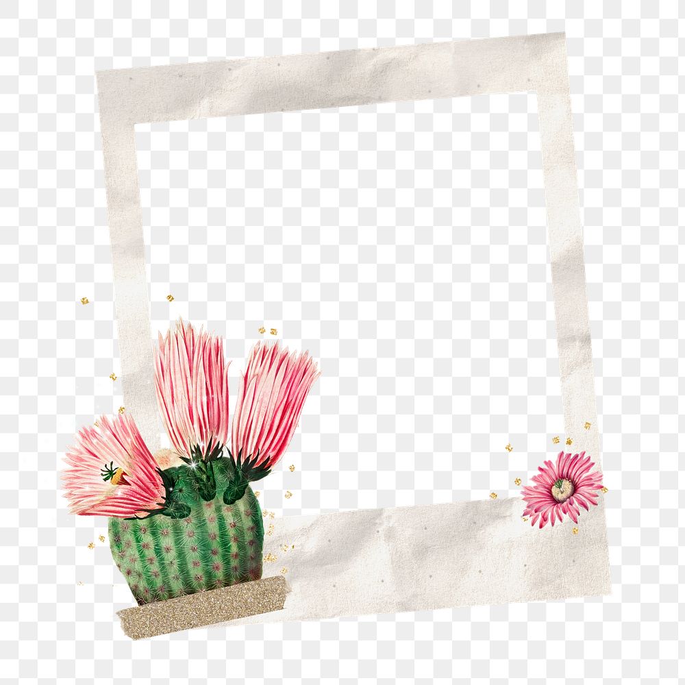 PNG Cactus flower instant film frame, creative remix, transparent background
