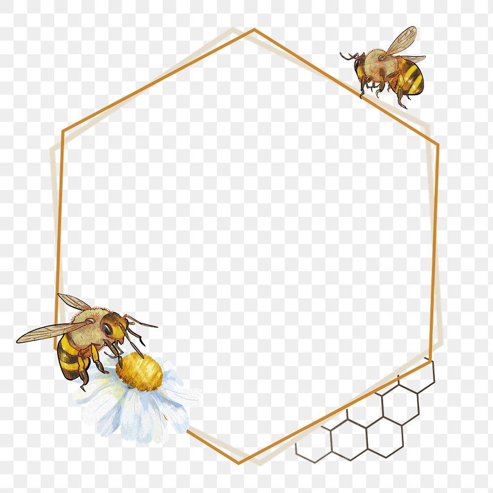 Bees hexagon frame png, transparent background