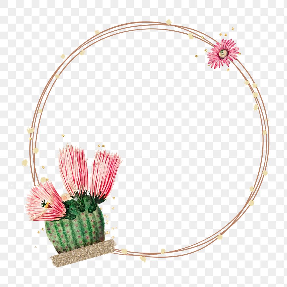 Cactus flower frame png, transparent background