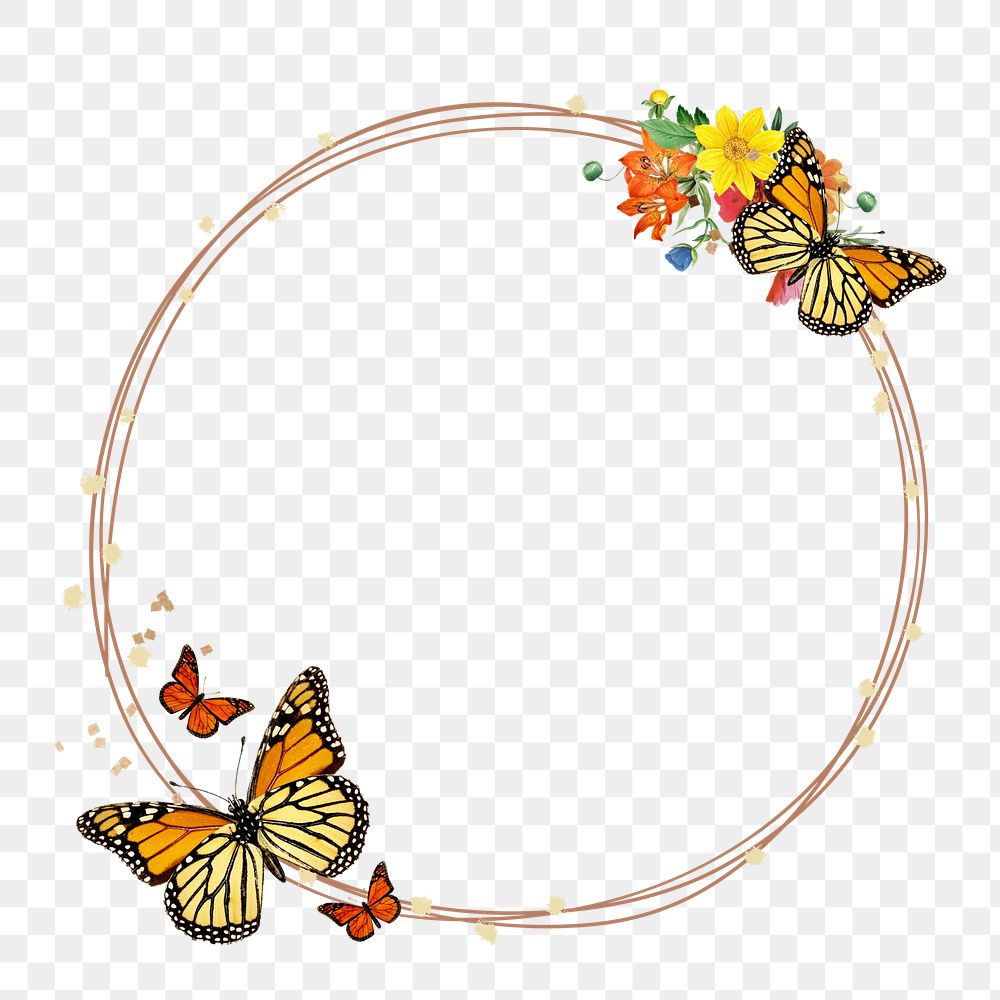 Monarch butterfly frame png, transparent background