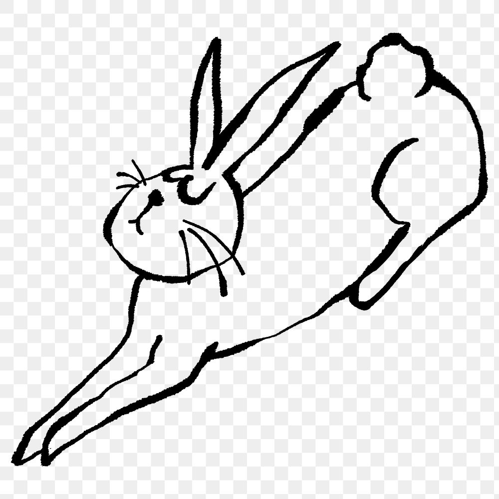 Hare png doodle element, transparent background