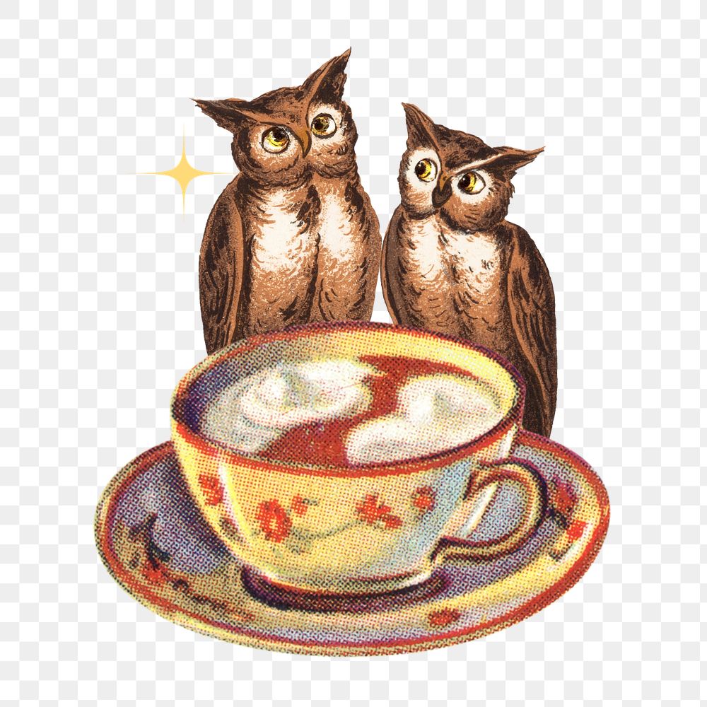 PNG Night owl tea illustration transparent background