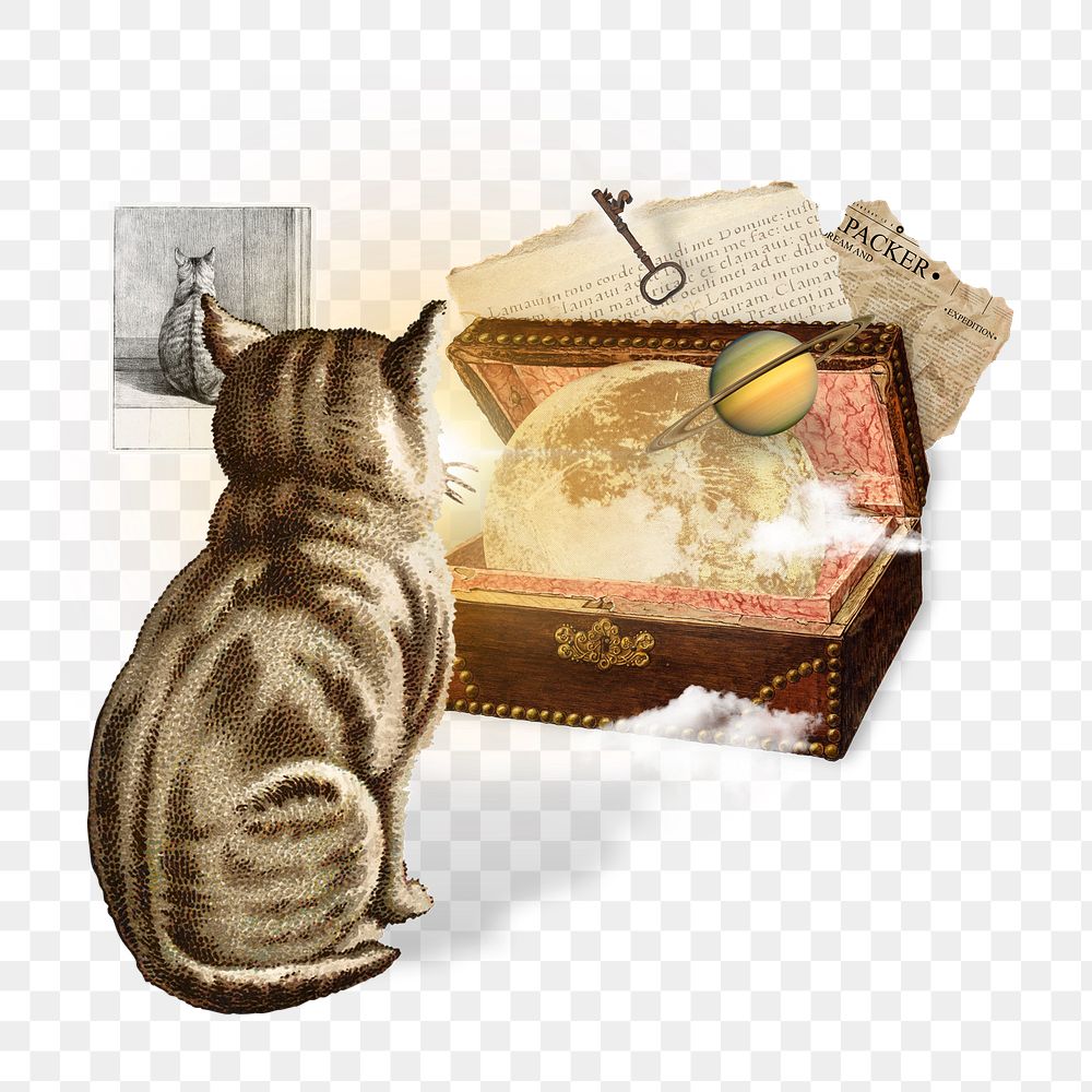 PNG Vintage cat fantasy world illustration transparent background
