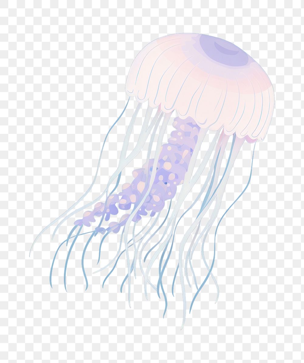 PNG Jellyfish animal invertebrate transparent. AI generated Image by rawpixel.