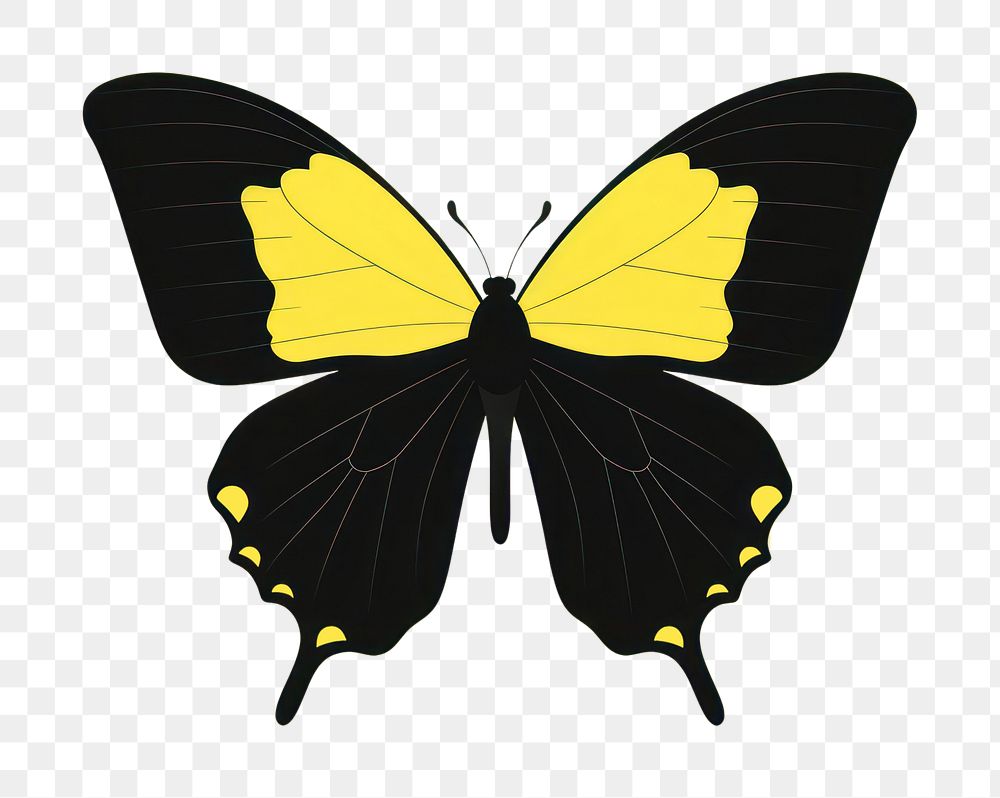 PNG Yellow butterfly animal wildlife stencil. 