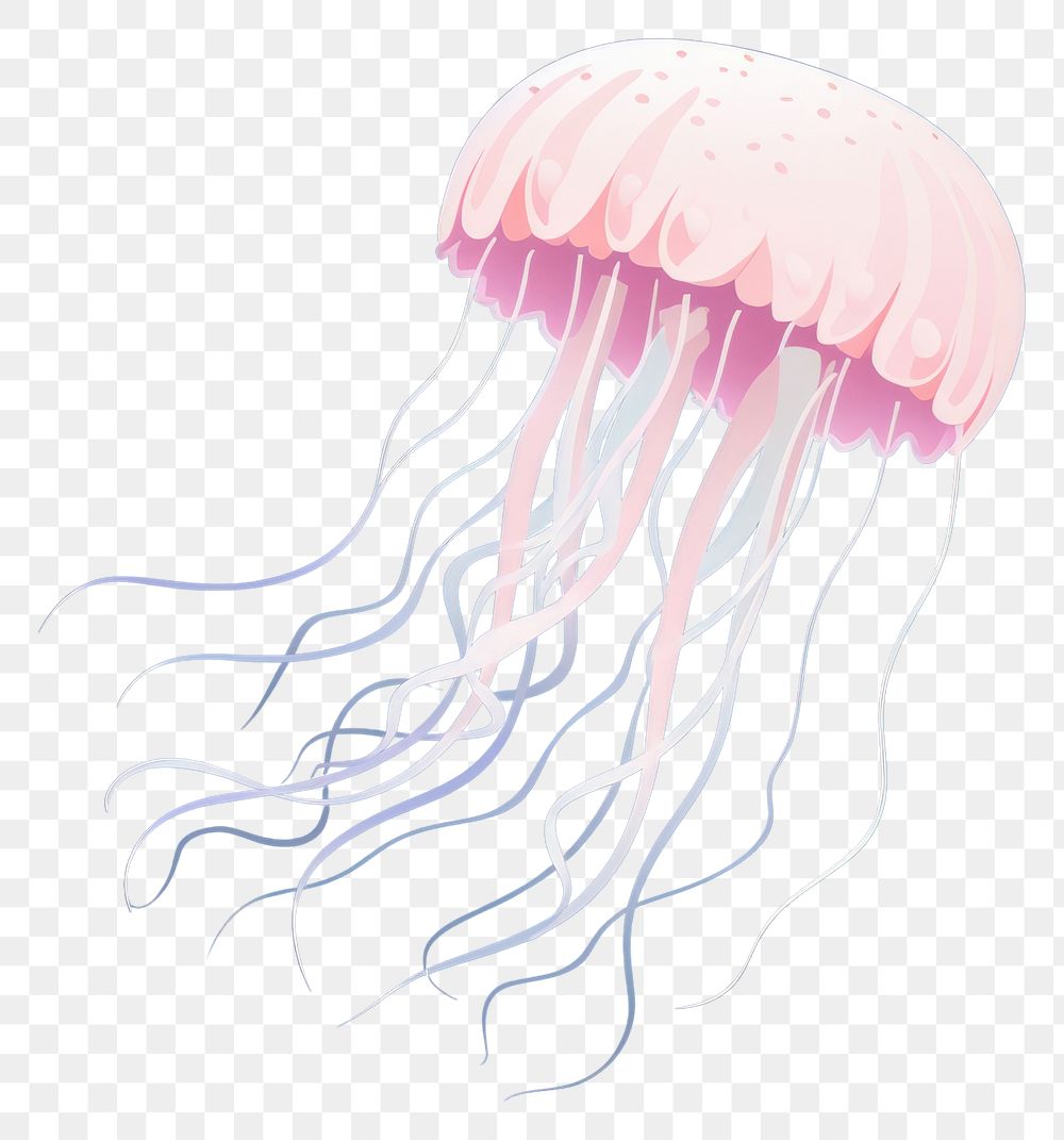 PNG Jellyfish animal nature invertebrate. AI generated Image by rawpixel.