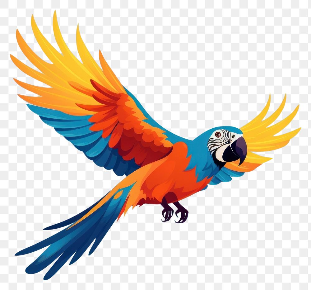 PNG Parrot animal flying bird. 