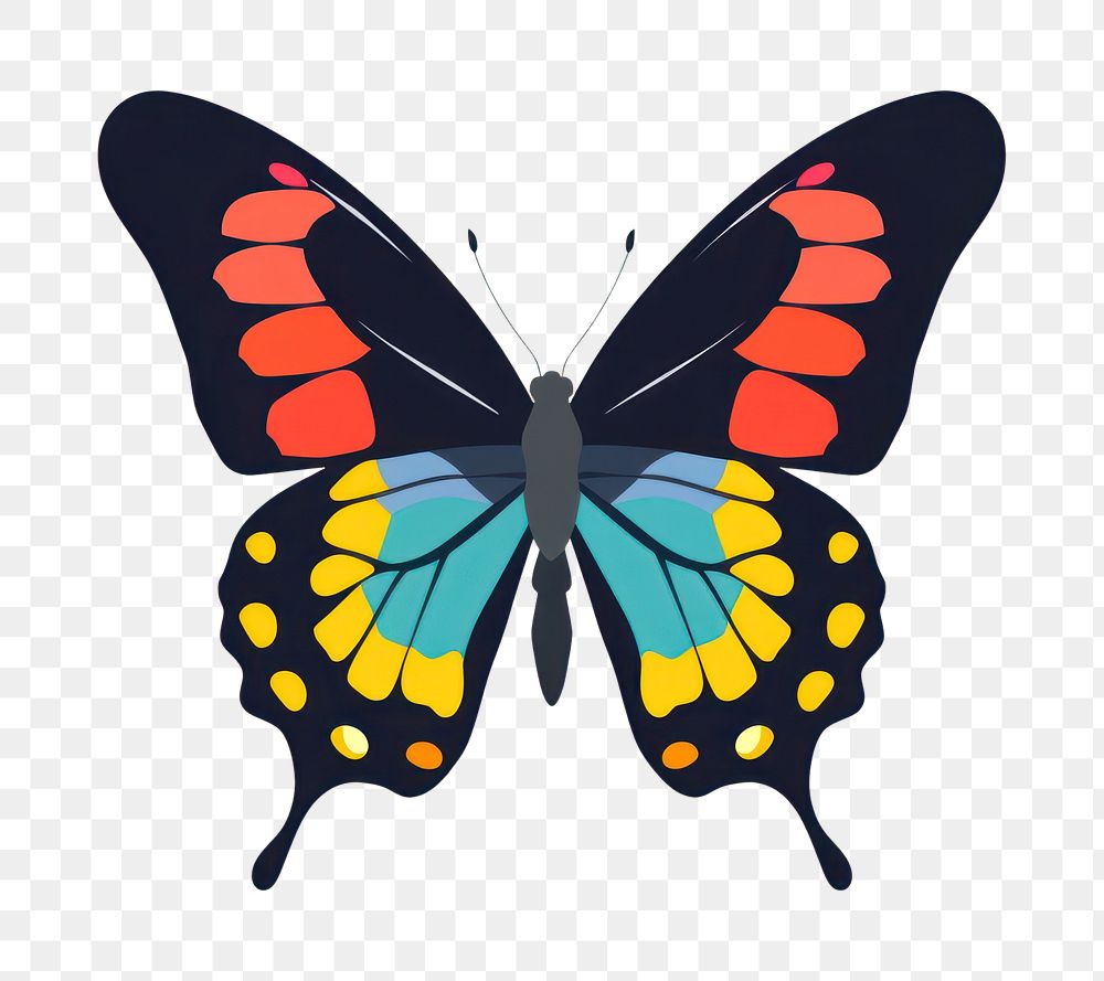 PNG Butterfly animal insect invertebrate. 