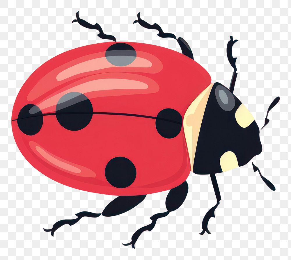 PNG Ladybug animal wildlife outdoors. AI generated Image by rawpixel.