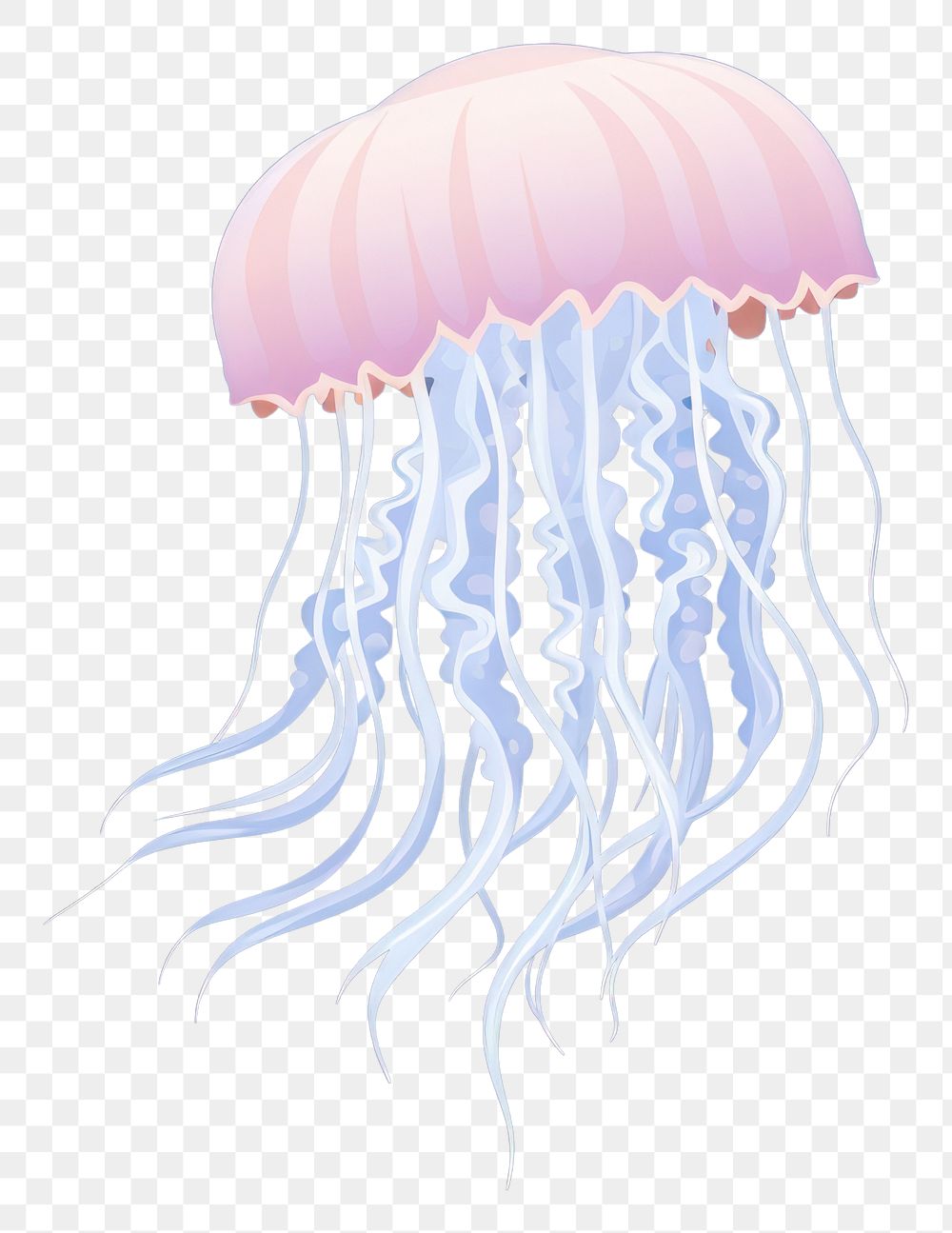 PNG Jellyfish animal invertebrate zooplankton. AI generated Image by rawpixel.
