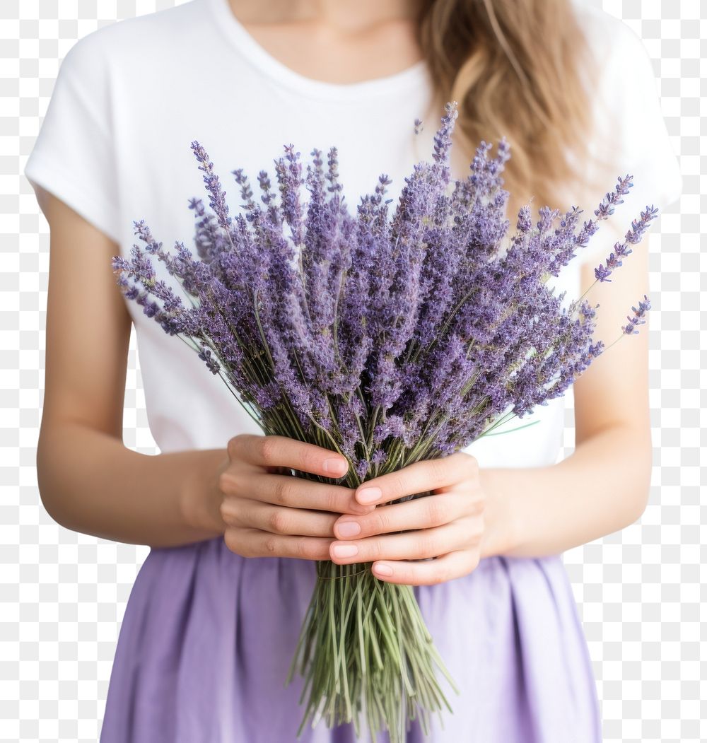 PNG Lavender holding flower plant. AI generated Image by rawpixel.