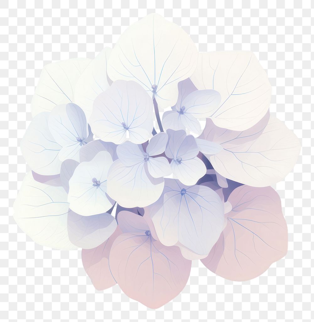 PNG Flower petal plant chandelier. AI generated Image by rawpixel.