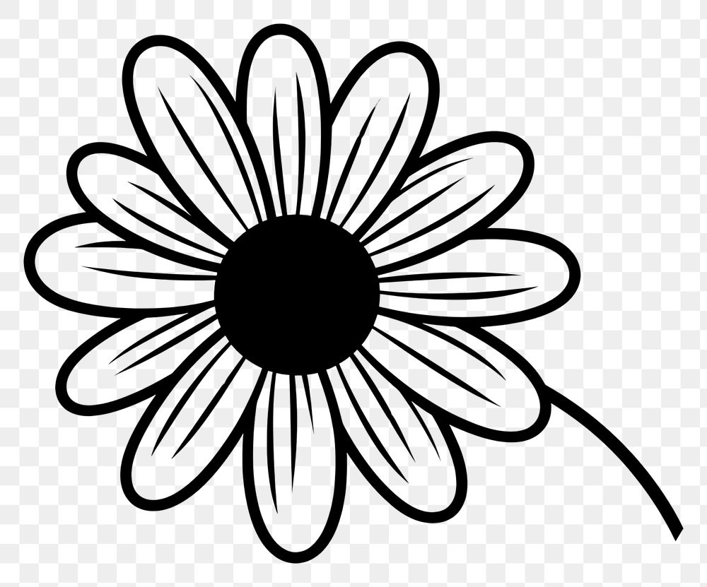 PNG Daisy flower plant white. AI generated Image by rawpixel.
