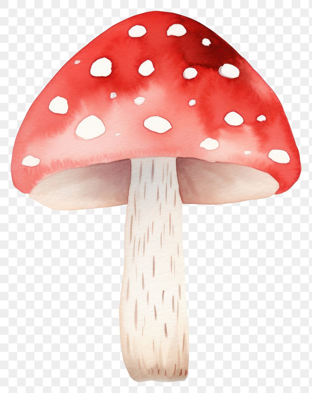 PNG  Mushroom fungus agaric plant. AI generated Image by rawpixel.