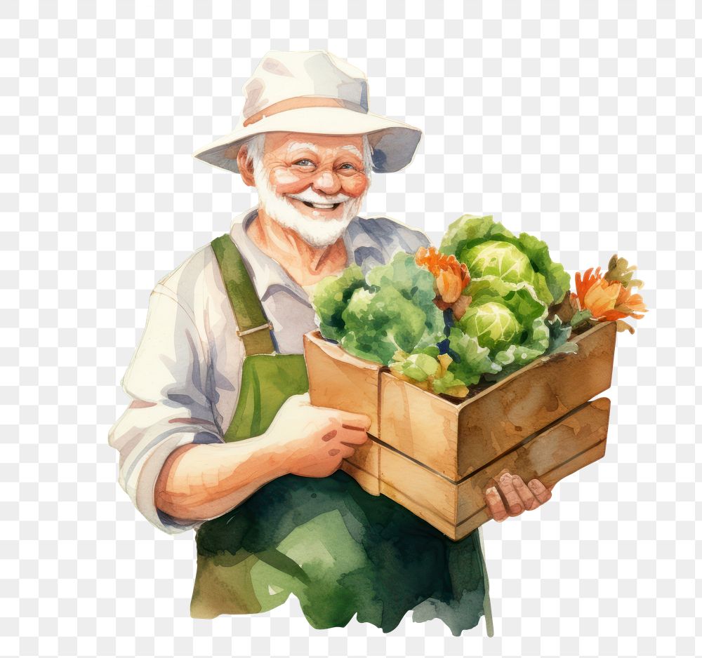 PNG  Happy old wearing gardening box cauliflower vegetable. AI generated Image by rawpixel.