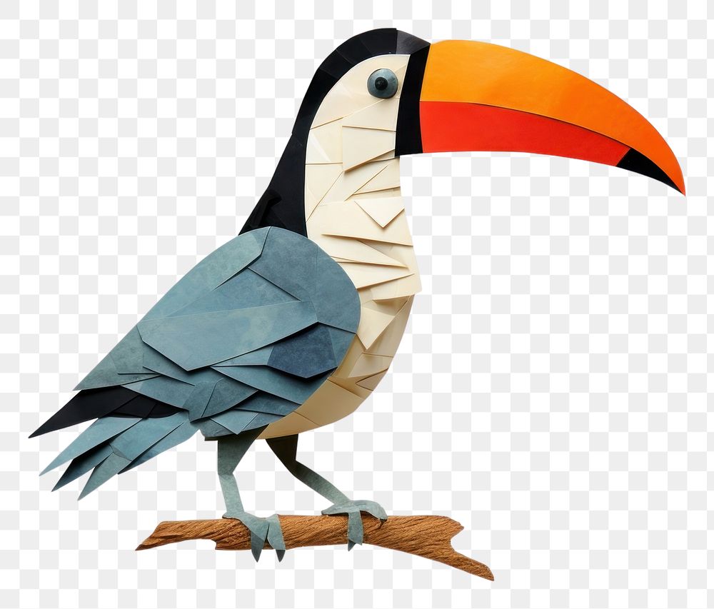 PNG  Toucan bird animal beak. AI generated Image by rawpixel.