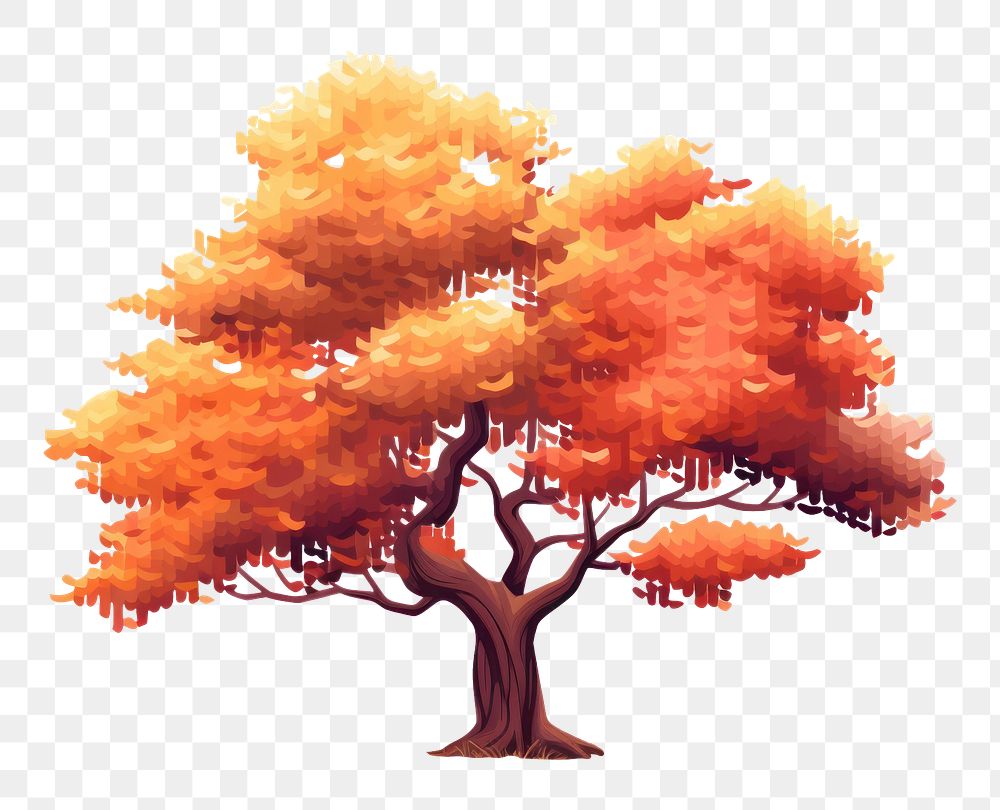 PNG Autumn tree outdoors autumn plant. AI generated Image by rawpixel.