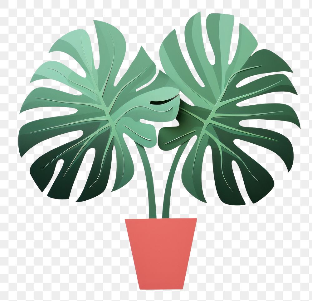 PNG Plant leaf creativity houseplant. AI generated Image by rawpixel.