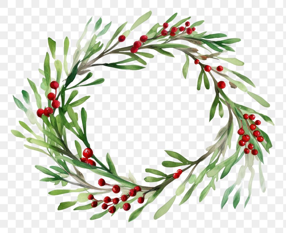 PNG Christmas wreath plant white background celebration