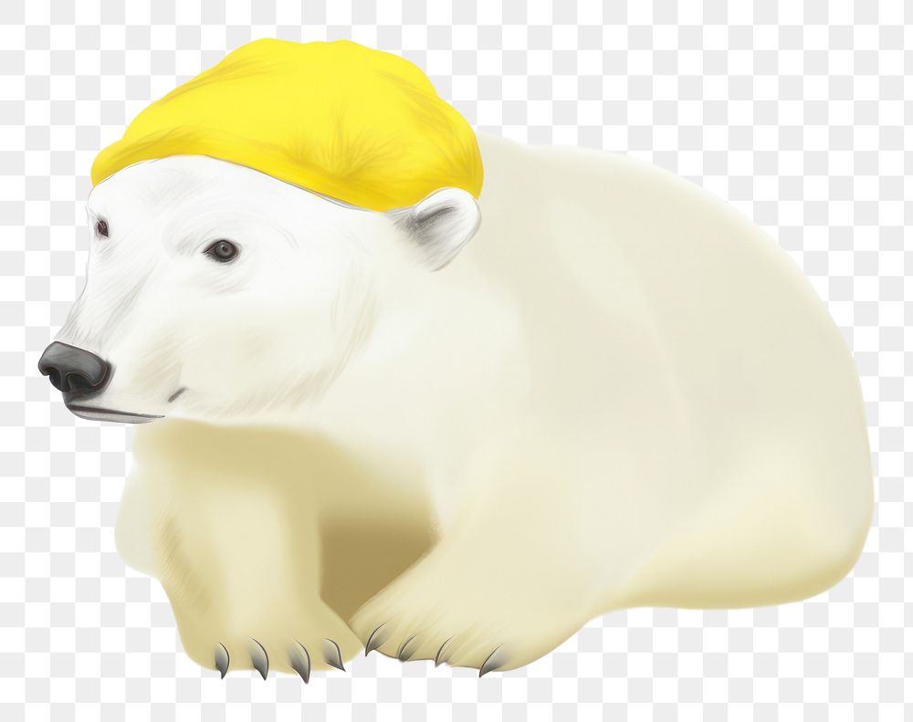 PNG Polar bear wearing yellow hat wildlife mammal animal. AI generated Image by rawpixel.
