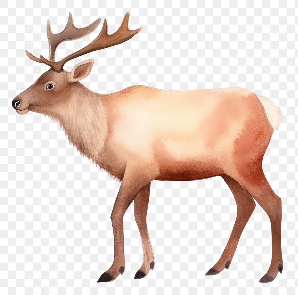 PNG Reindeer wildlife animal mammal. AI generated Image by rawpixel.