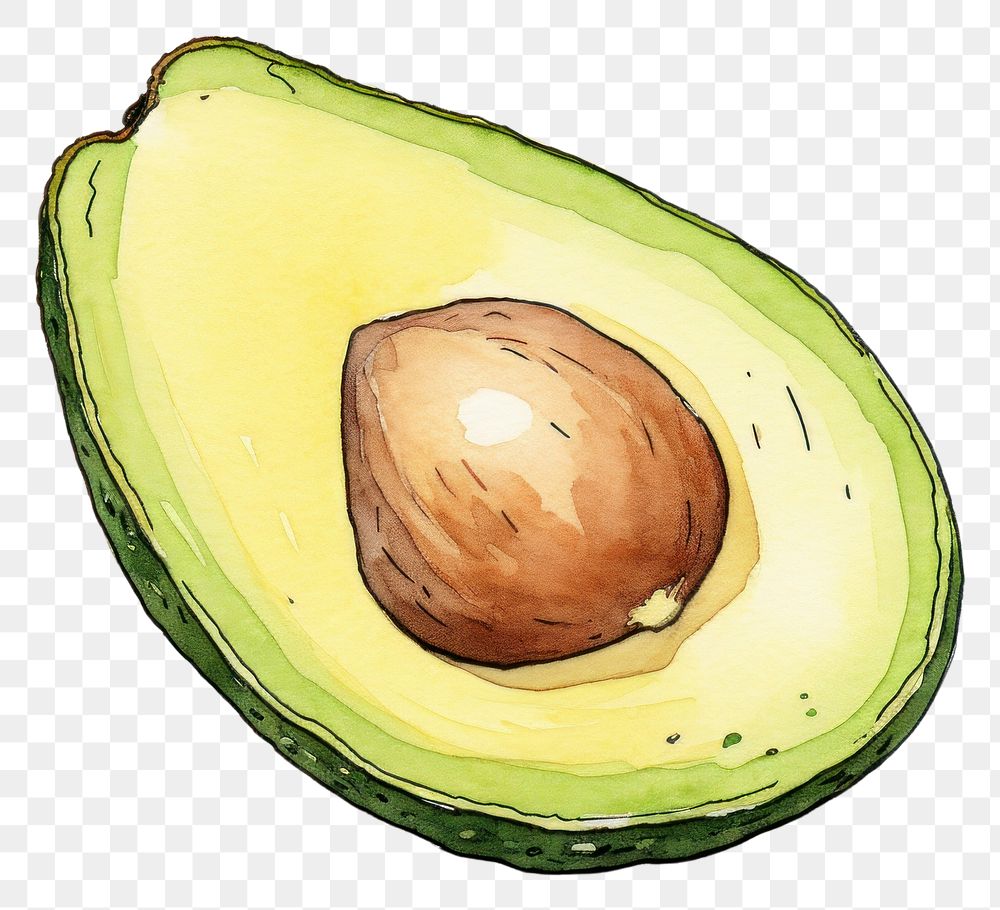 PNG Avocado sketch food freshness. AI generated Image by rawpixel.