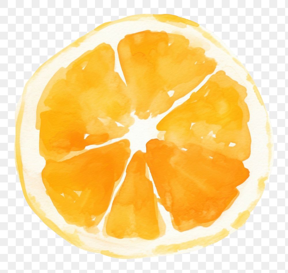 PNG Orange grapefruit lemon food. AI generated Image by rawpixel.